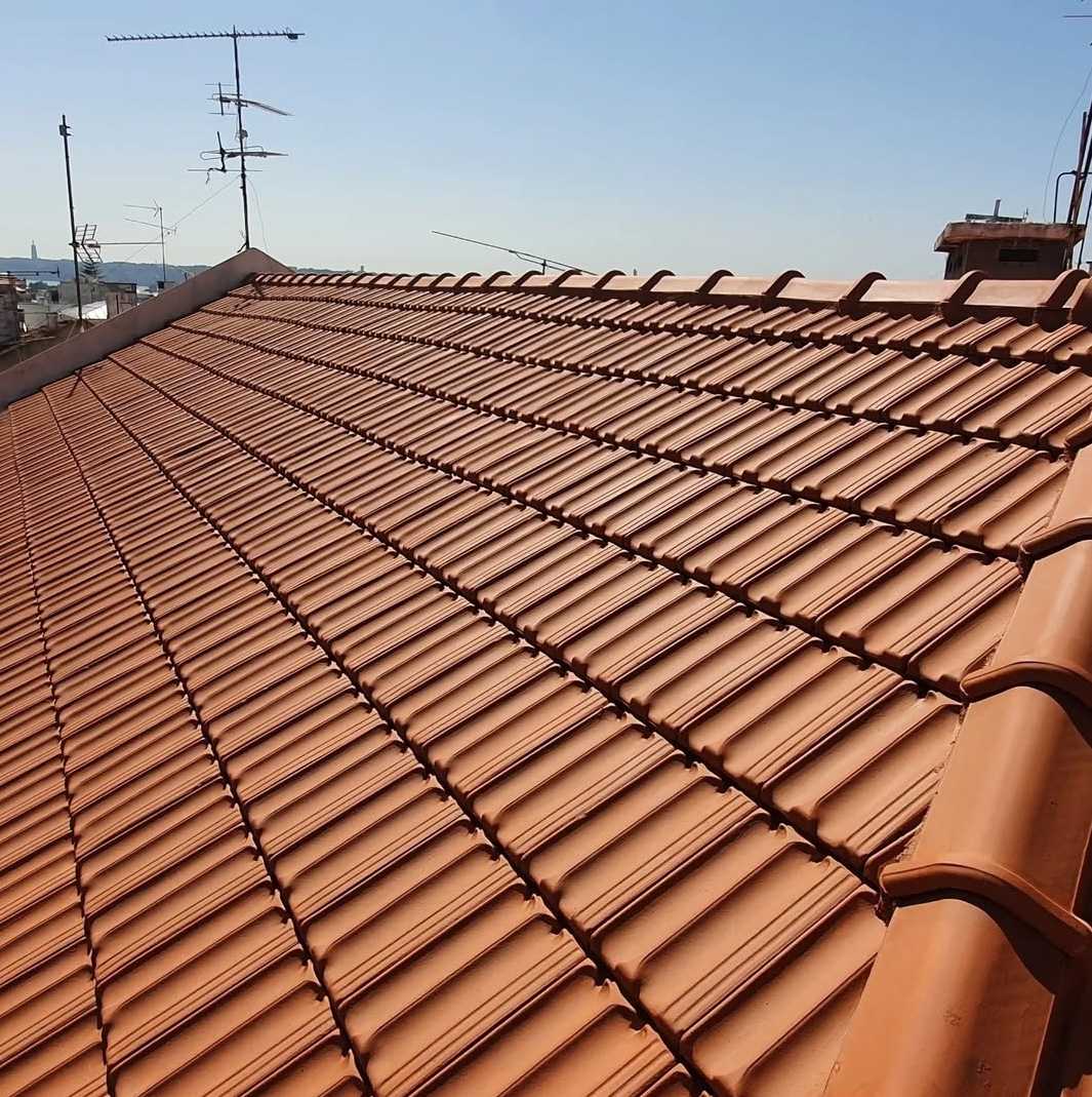 Roof Maintenance and Cleaning