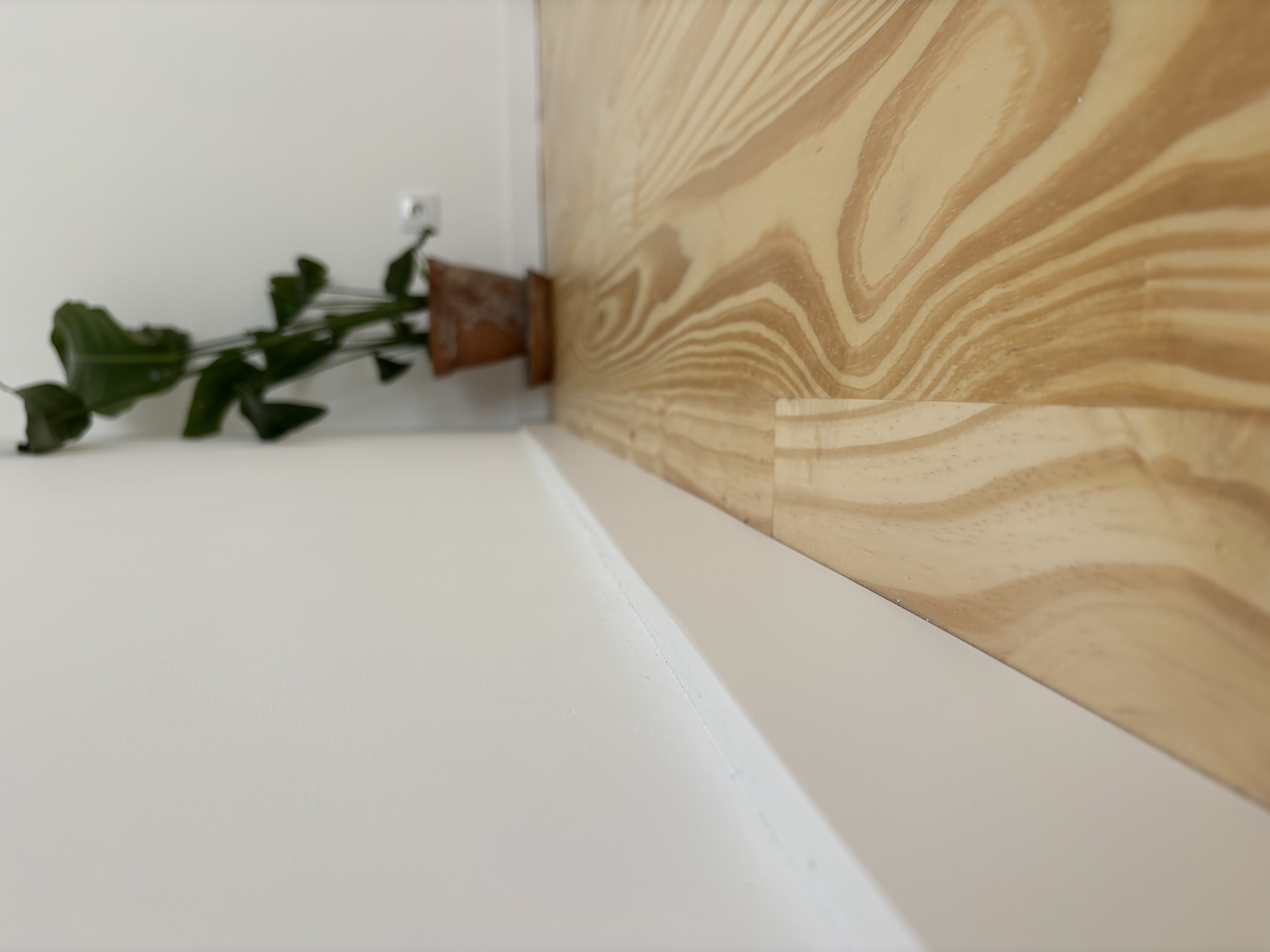 Walls & Interiors